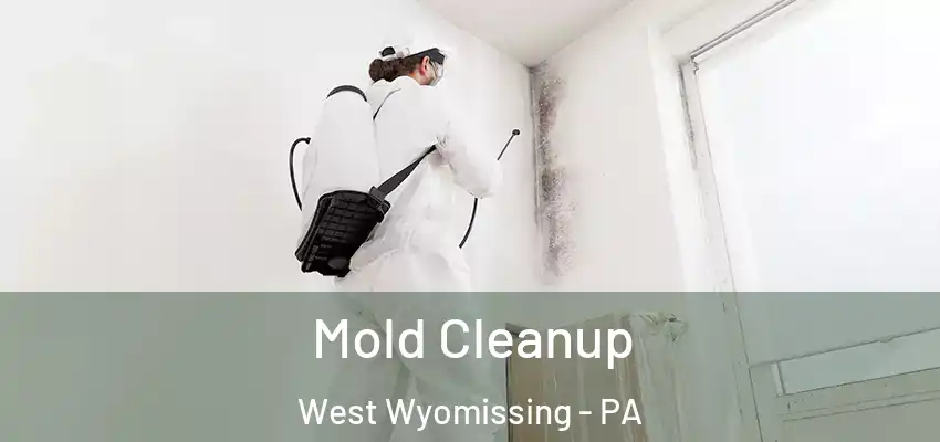  Mold Cleanup West Wyomissing - PA