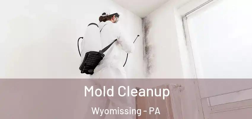  Mold Cleanup Wyomissing - PA