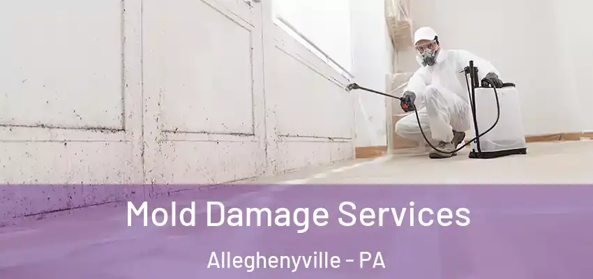 Mold Damage Services Alleghenyville - PA