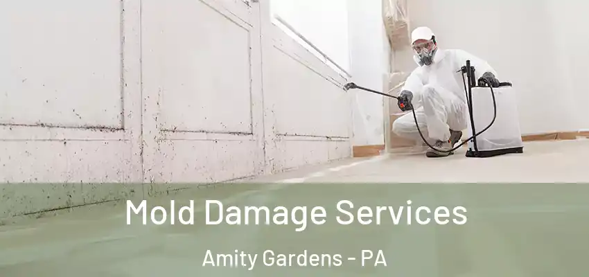 Mold Damage Services Amity Gardens - PA