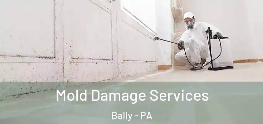 Mold Damage Services Bally - PA