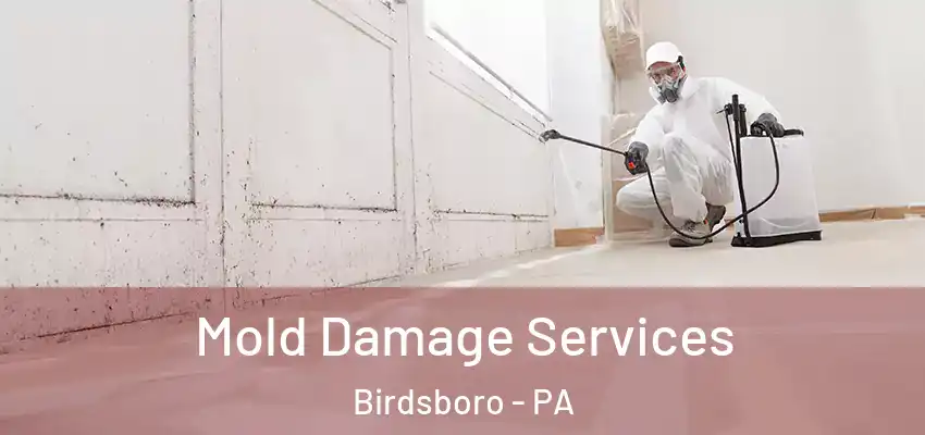 Mold Damage Services Birdsboro - PA