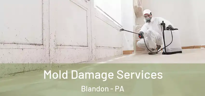 Mold Damage Services Blandon - PA