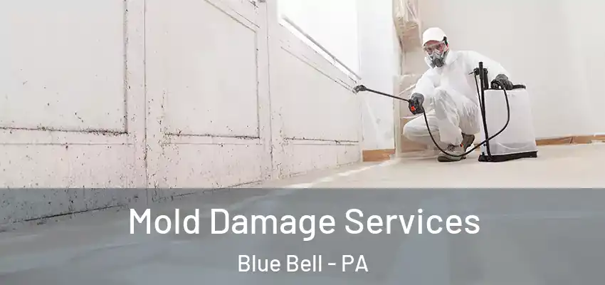 Mold Damage Services Blue Bell - PA