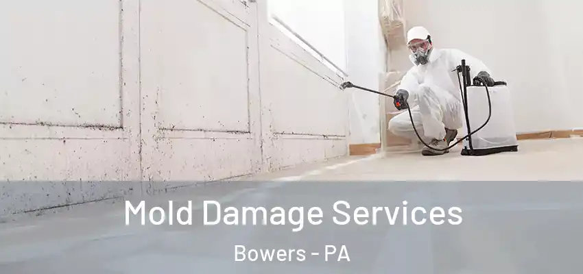 Mold Damage Services Bowers - PA