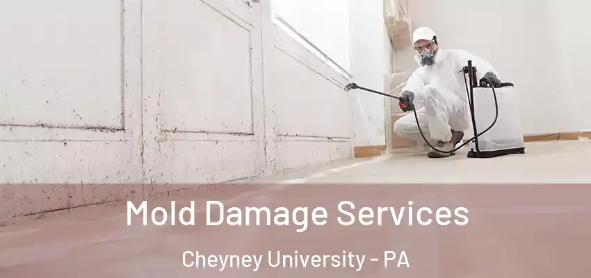 Mold Damage Services Cheyney University - PA