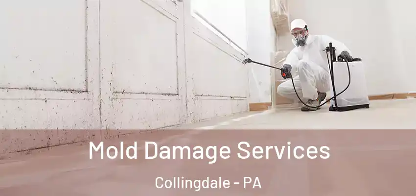 Mold Damage Services Collingdale - PA
