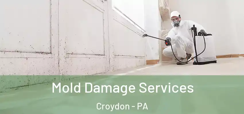 Mold Damage Services Croydon - PA