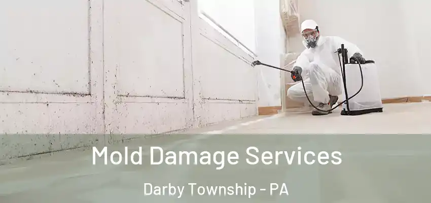 Mold Damage Services Darby Township - PA