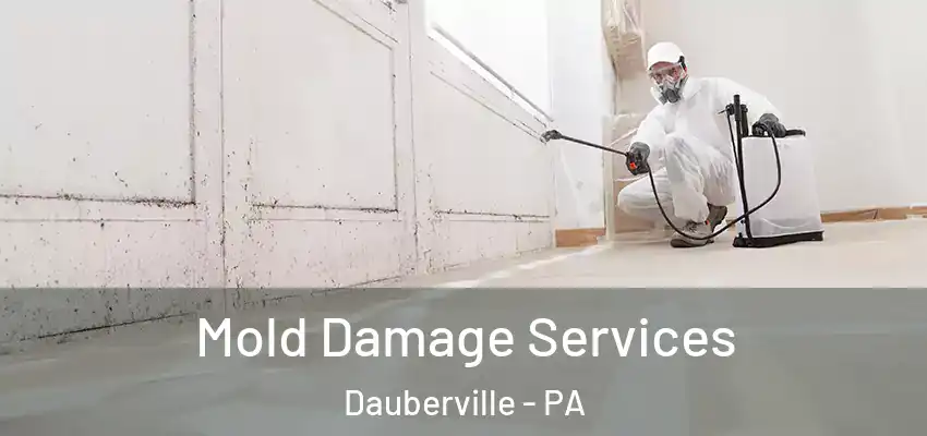 Mold Damage Services Dauberville - PA