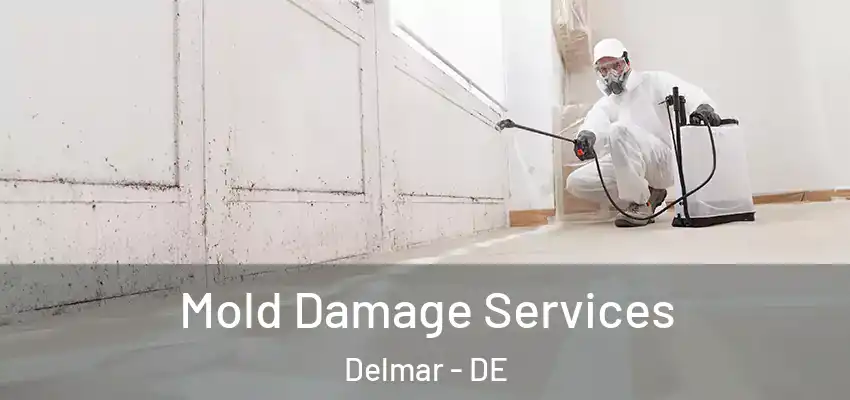 Mold Damage Services Delmar - DE