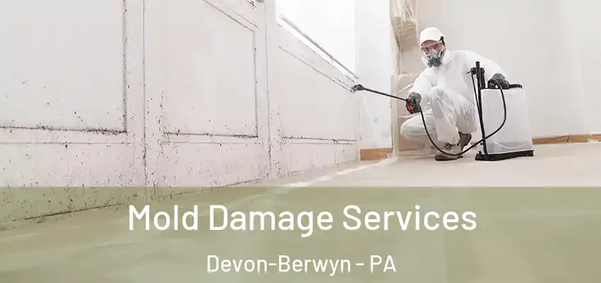 Mold Damage Services Devon-Berwyn - PA