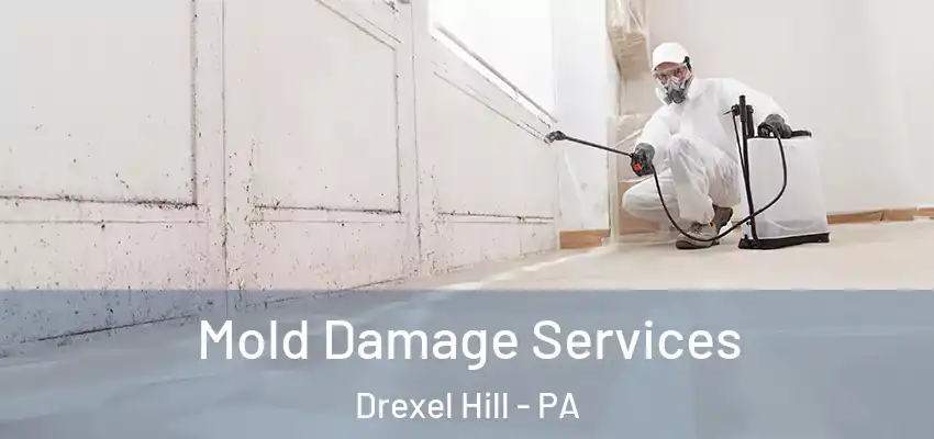 Mold Damage Services Drexel Hill - PA