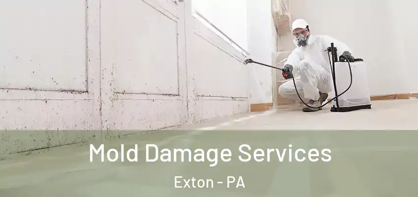 Mold Damage Services Exton - PA
