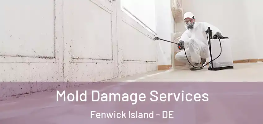 Mold Damage Services Fenwick Island - DE