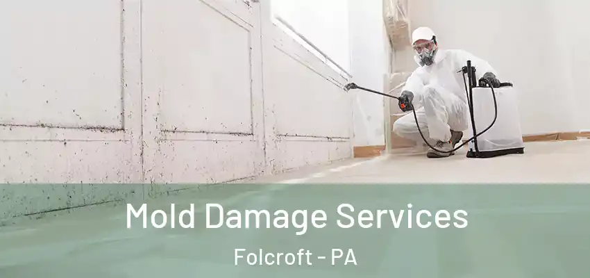Mold Damage Services Folcroft - PA