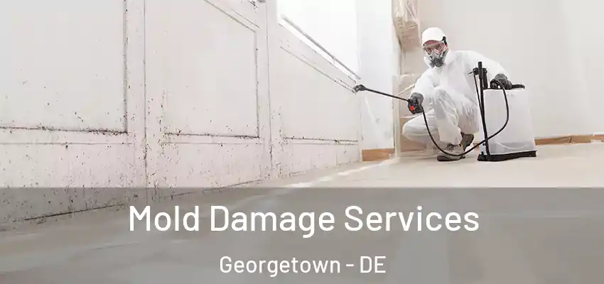Mold Damage Services Georgetown - DE