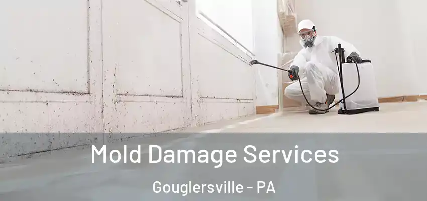  Mold Damage Services Gouglersville - PA