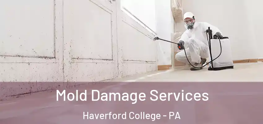 Mold Damage Services Haverford College - PA