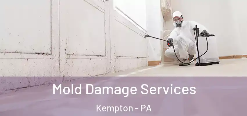Mold Damage Services Kempton - PA