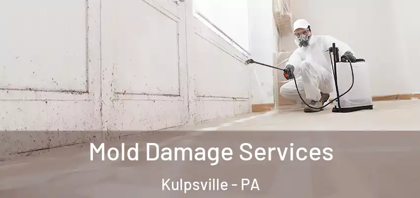 Mold Damage Services Kulpsville - PA