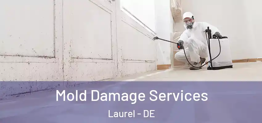 Mold Damage Services Laurel - DE