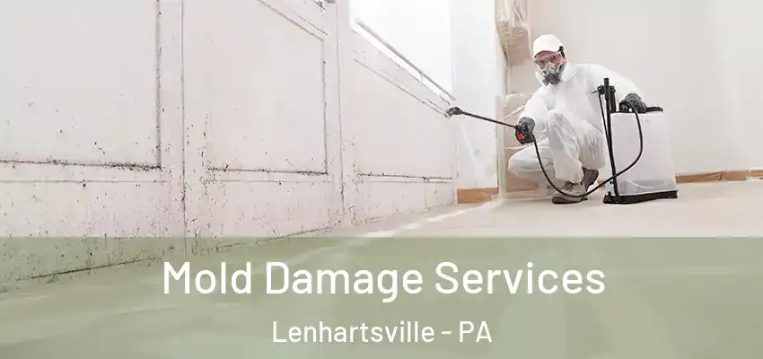 Mold Damage Services Lenhartsville - PA