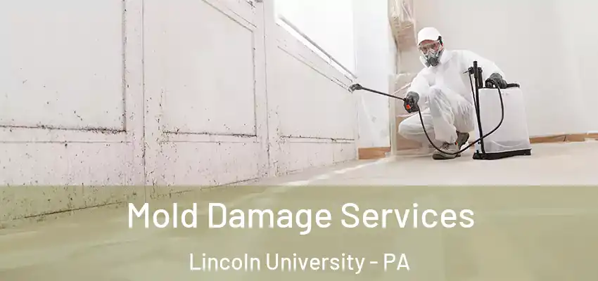  Mold Damage Services Lincoln University - PA