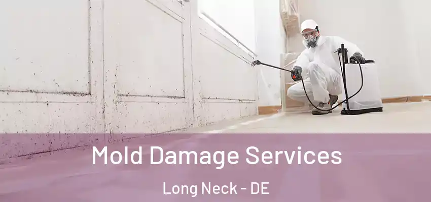 Mold Damage Services Long Neck - DE