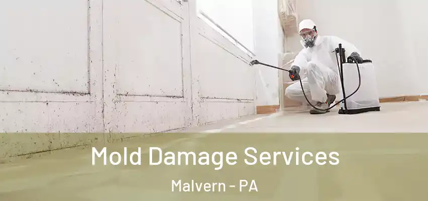 Mold Damage Services Malvern - PA