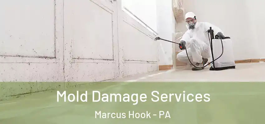 Mold Damage Services Marcus Hook - PA