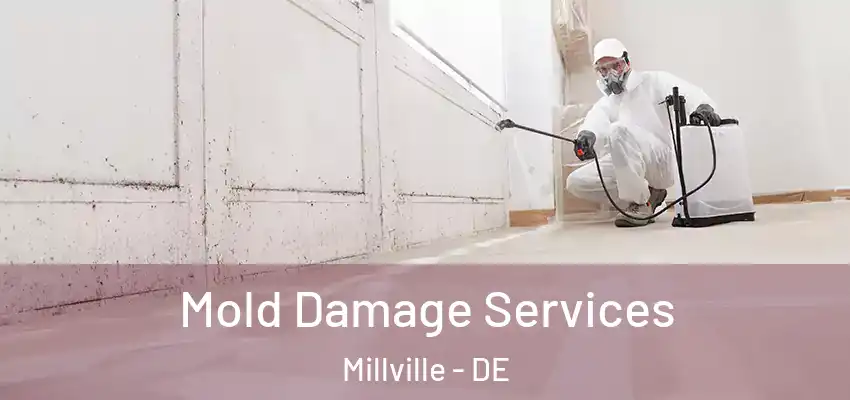 Mold Damage Services Millville - DE
