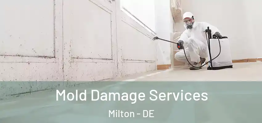 Mold Damage Services Milton - DE