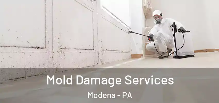 Mold Damage Services Modena - PA