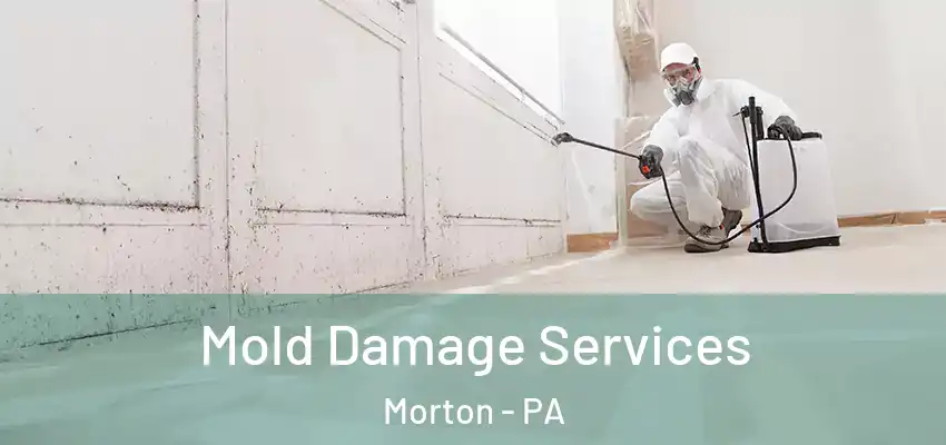 Mold Damage Services Morton - PA
