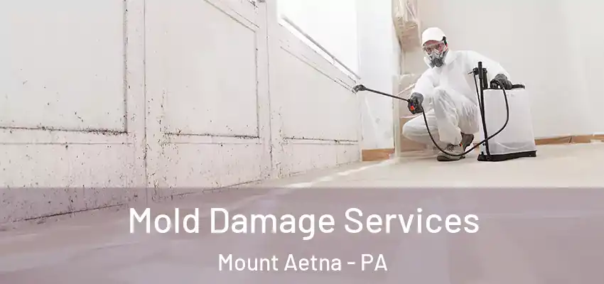 Mold Damage Services Mount Aetna - PA