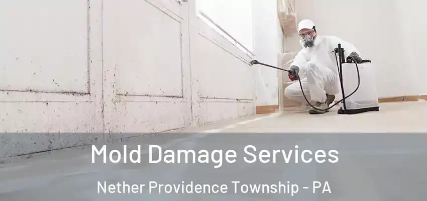 Mold Damage Services Nether Providence Township - PA