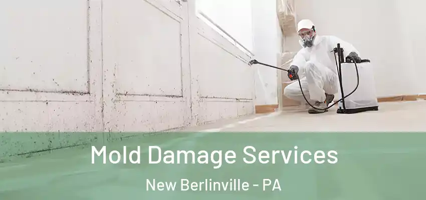 Mold Damage Services New Berlinville - PA
