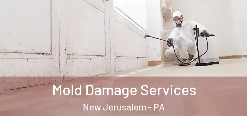 Mold Damage Services New Jerusalem - PA