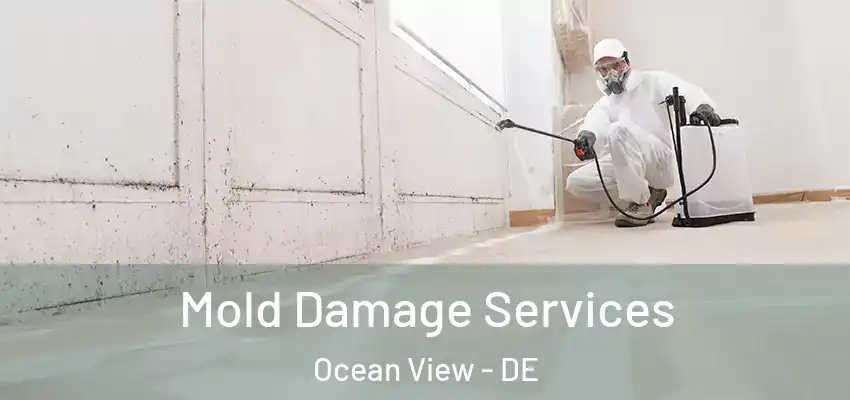 Mold Damage Services Ocean View - DE