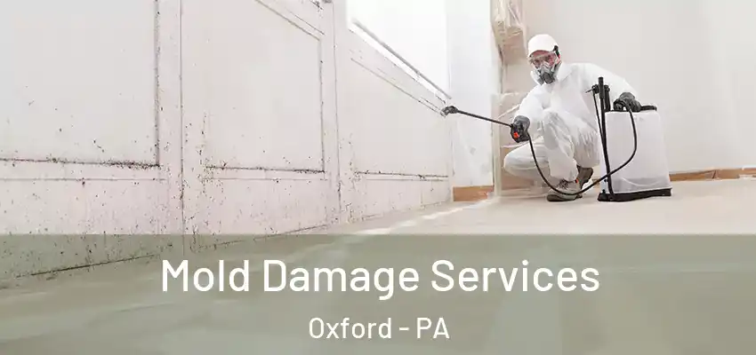  Mold Damage Services Oxford - PA