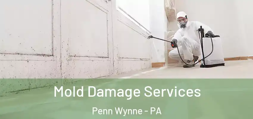  Mold Damage Services Penn Wynne - PA