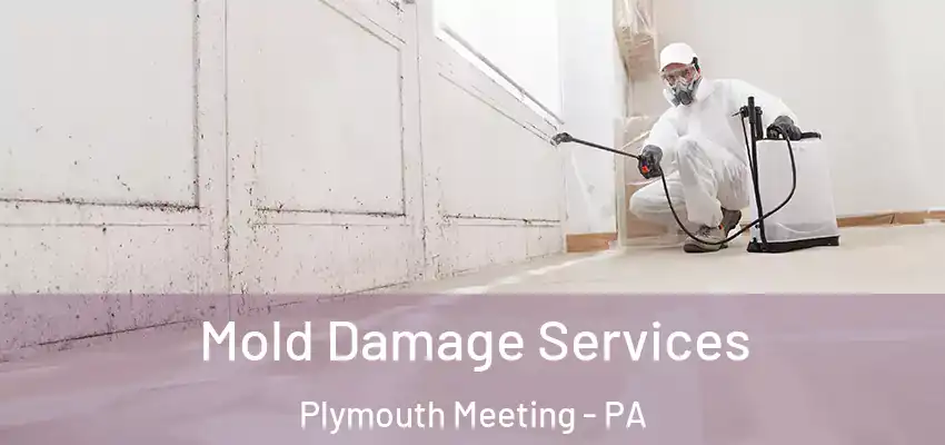 Mold Damage Services Plymouth Meeting - PA