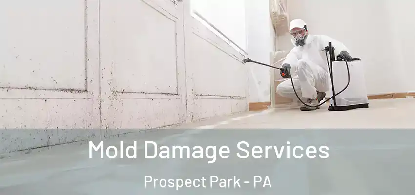  Mold Damage Services Prospect Park - PA