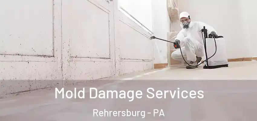  Mold Damage Services Rehrersburg - PA