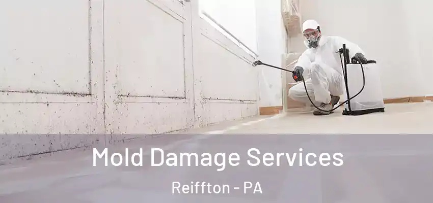  Mold Damage Services Reiffton - PA