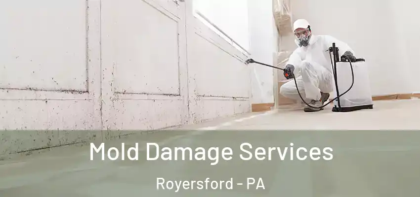  Mold Damage Services Royersford - PA