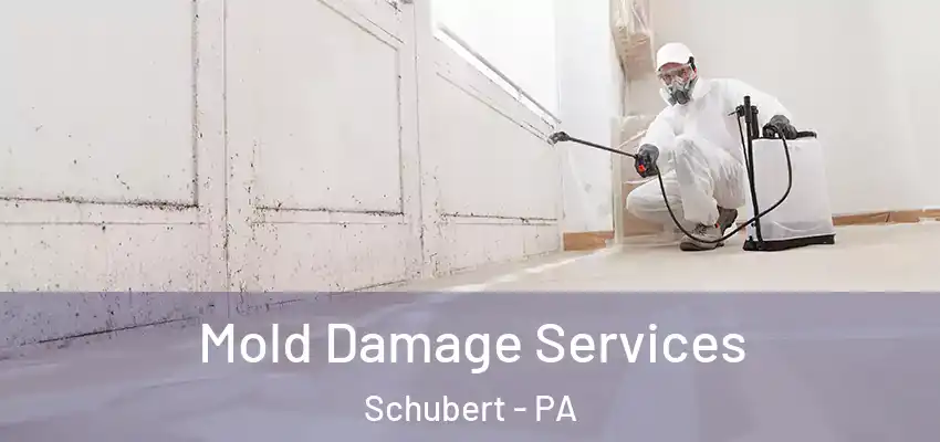 Mold Damage Services Schubert - PA