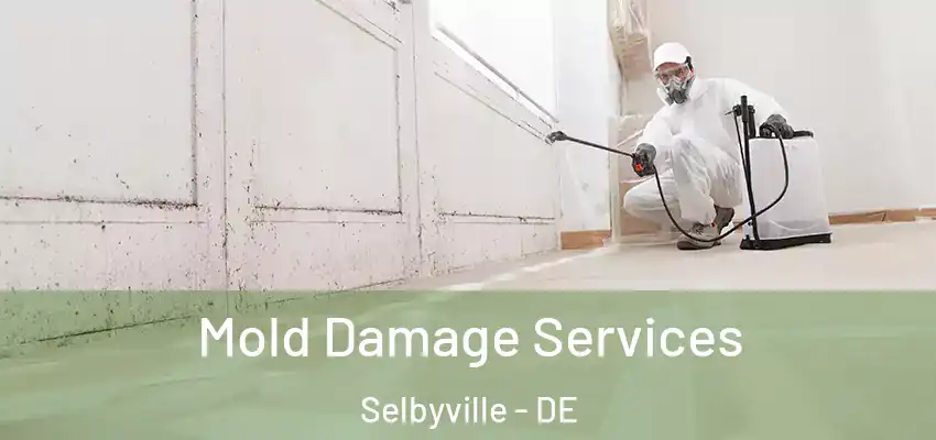 Mold Damage Services Selbyville - DE