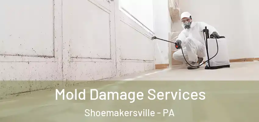  Mold Damage Services Shoemakersville - PA